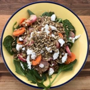 Lentil Salad with Radishes and Goat Cheese by codyalanstubbs
